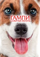  Гампи. Собачья жизнь смотреть онлайн (2024) 