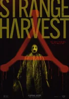 смотреть онлайн Странный урожай (2024) бесплатно в HD 