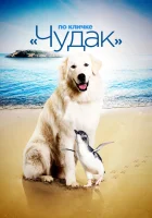 смотреть онлайн По кличке «Чудак» (2015) бесплатно в HD 