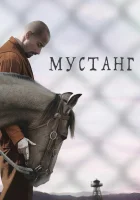 смотреть онлайн Мустанг (2019) бесплатно в HD 