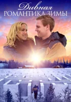 смотреть онлайн Дивная романтика зимы (2020) бесплатно в HD 