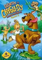 смотреть онлайн Шэгги и Скуби-Ду ключ найдут! мультсериал 1-2 сезон бесплатно в HD